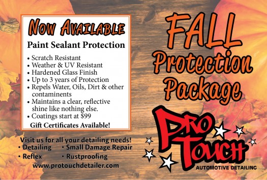 Check out the Fall Protection Package at ProTouch Automotive Detailing 4653 Cleveland Rd. Wooster, OH 44691